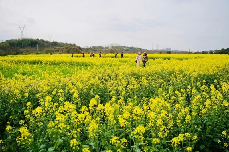 918搏天堂(中国)人生就是搏