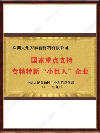 国度沉点专精特新幼巨人